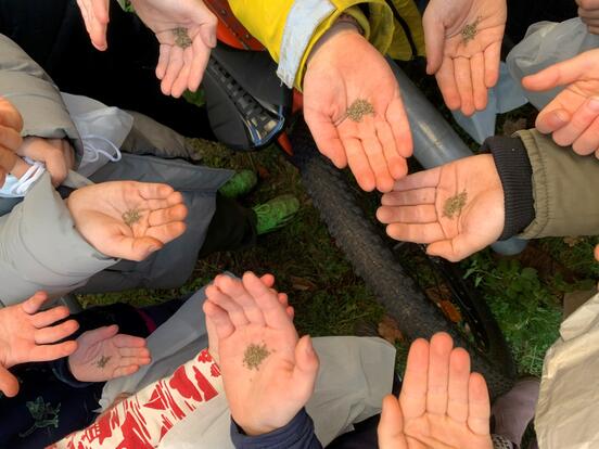 Project week on biodiversity at Grundschule am Kollwitzplatz 2024