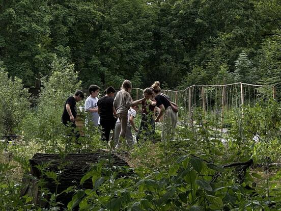 Project week Sustainable Food Andersen Grundschule 2024